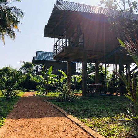 Sigiriya Paddy Field Hut Villa Szoba fotó