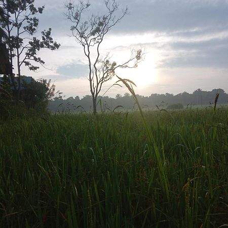 Sigiriya Paddy Field Hut Villa Szoba fotó