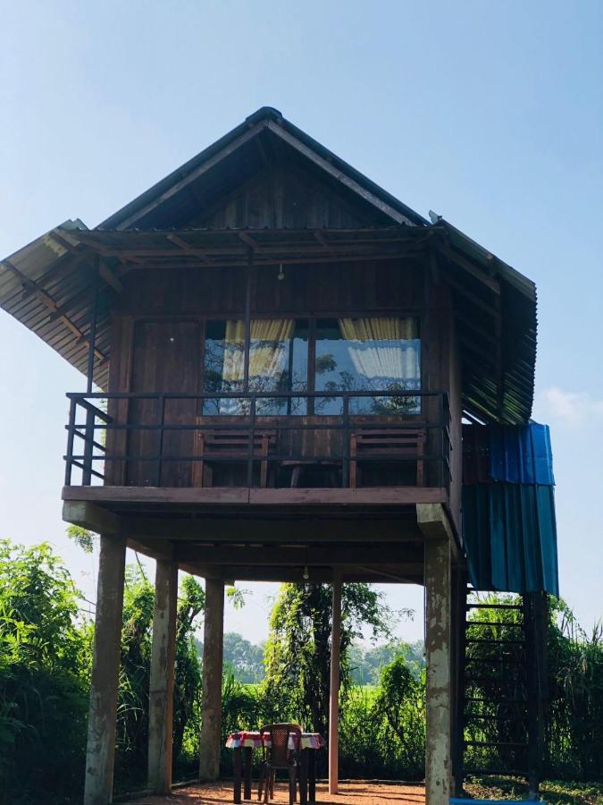 Sigiriya Paddy Field Hut Villa Kültér fotó