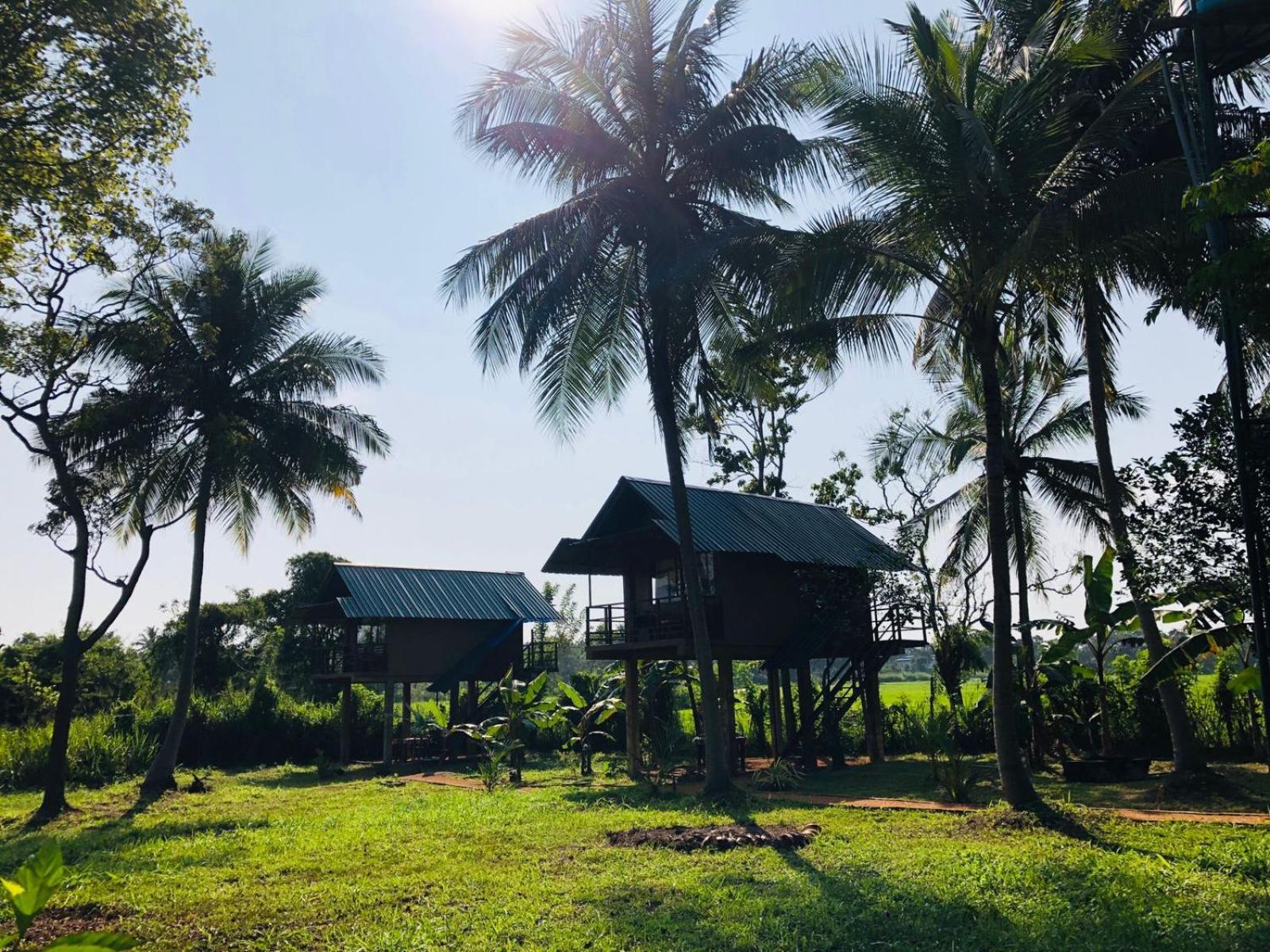 Sigiriya Paddy Field Hut Villa Szoba fotó